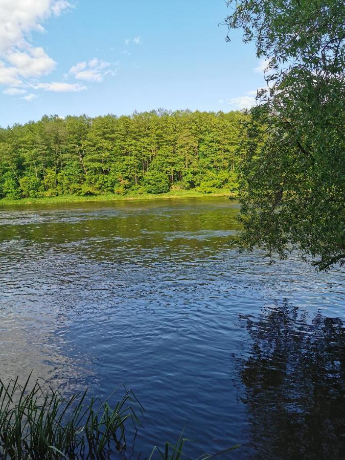 Вілла Namelis Su Pirtele Друскінінкай Екстер'єр фото