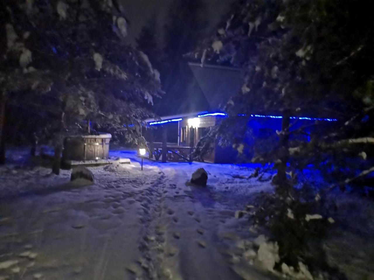 Вілла Namelis Su Pirtele Друскінінкай Екстер'єр фото
